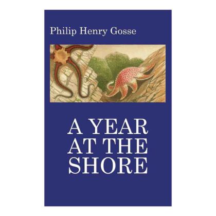 A Year at the Shore